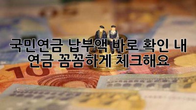 국민연금 납부액 바로 확인! 내 연금, 꼼꼼하게 체크해요